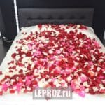 лепестки роз на кровате