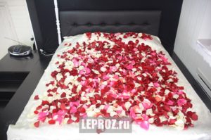 лепестки роз на кровате