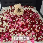 rose petals on the bed