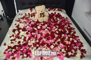 rose petals on the bed