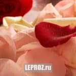 Leproz.ru