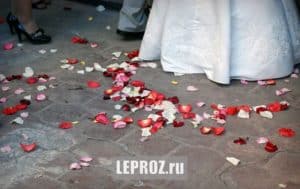 лепестки роз купить в Москве