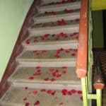лепестки роз на лестнице