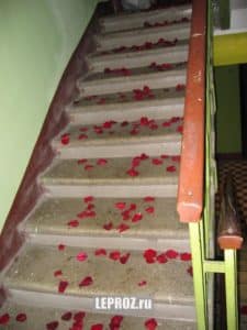лепестки роз на лестнице